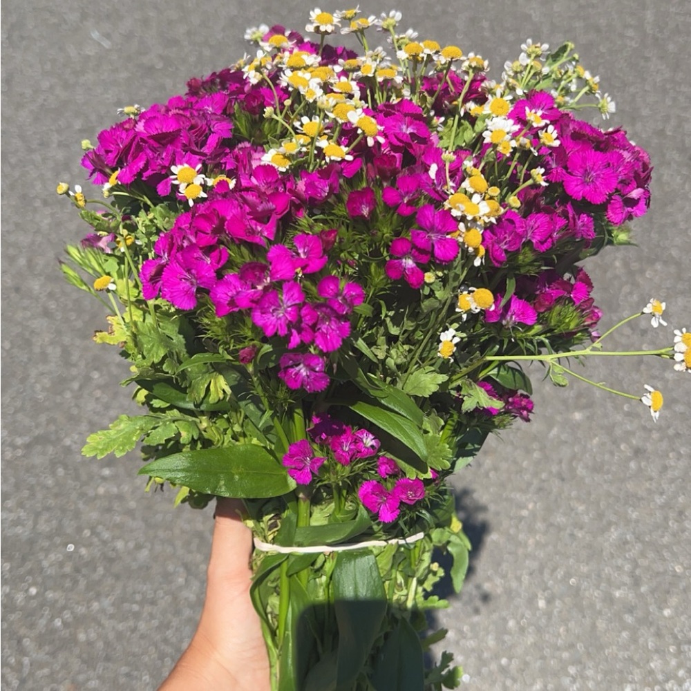 Meet your Posher, Becky